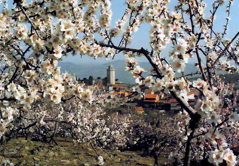 Villa Moradias Do Douro Internacional Freixo de Espada à Cinta Exterior foto