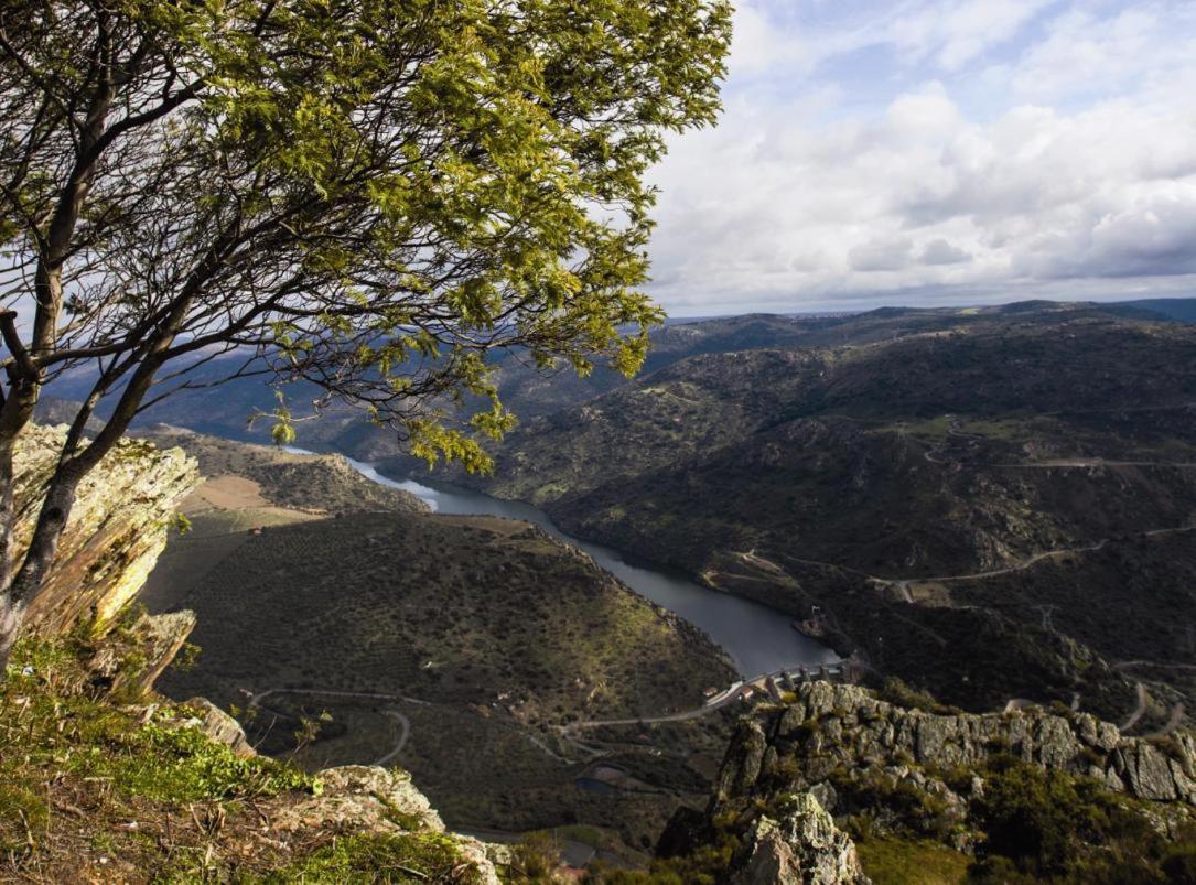 Villa Moradias Do Douro Internacional Freixo de Espada à Cinta Exterior foto