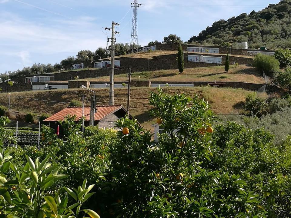 Villa Moradias Do Douro Internacional Freixo de Espada à Cinta Exterior foto