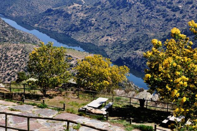 Villa Moradias Do Douro Internacional Freixo de Espada à Cinta Exterior foto